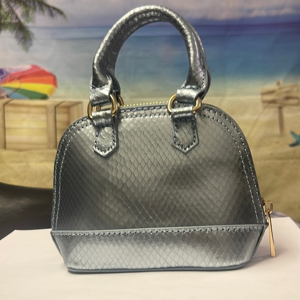 Brand new with tags Woman’s Francesca’s dome metallic mini bag.